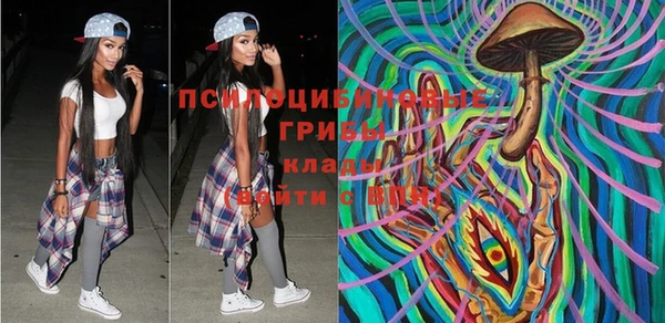 хмурый Аркадак