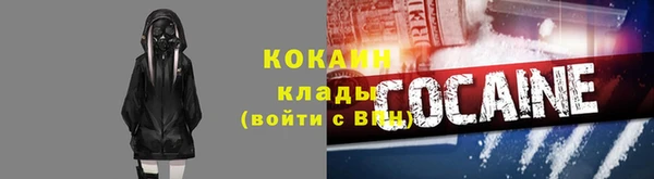 хмурый Аркадак