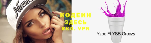 хмурый Аркадак