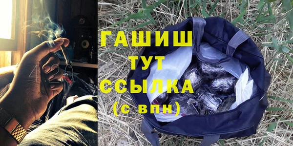 хмурый Аркадак
