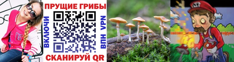 как найти   hydra ONION  Галлюциногенные грибы мухоморы  Нязепетровск 